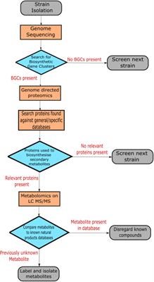 The Progress of Multi-Omics Technologies: Determining Function in Lactic Acid Bacteria Using a Systems Level Approach